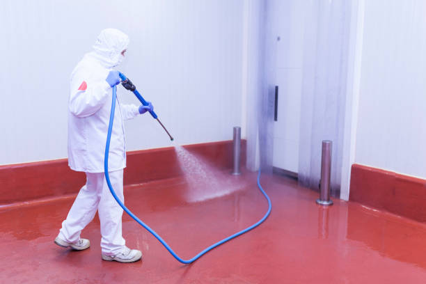 Professional Pressure Washing Services in Wilton, CA